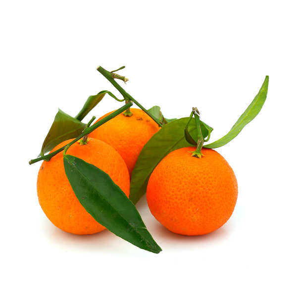 39702-0w600h600_Organic_Clemenvilla_Mandarin_From_Spain