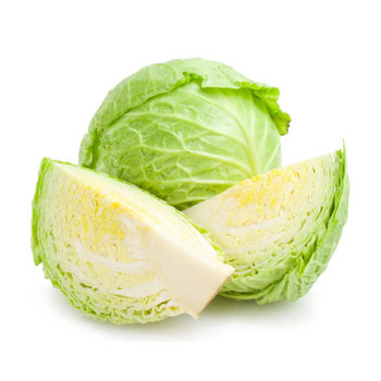Cabbage