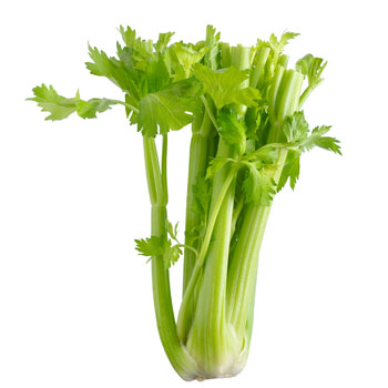 Celery