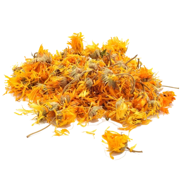 calendula-600x600