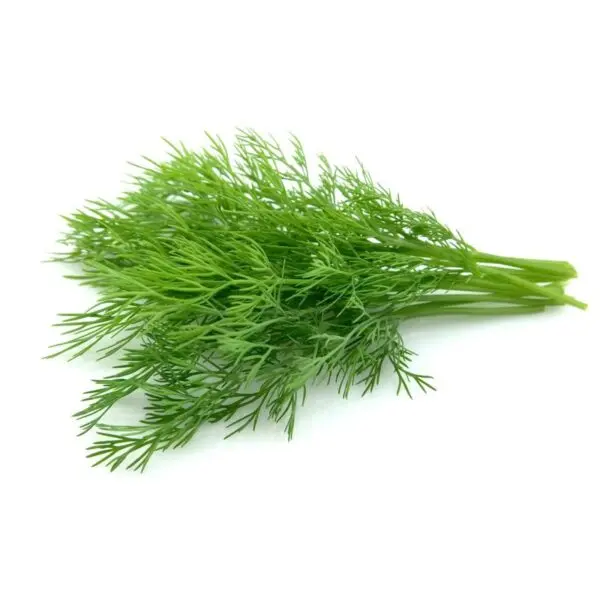 dill_opt-600x600