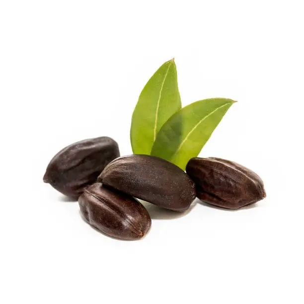 jojoba-seeds