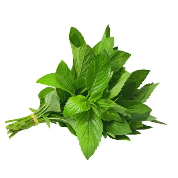 mint-bunch-600x600