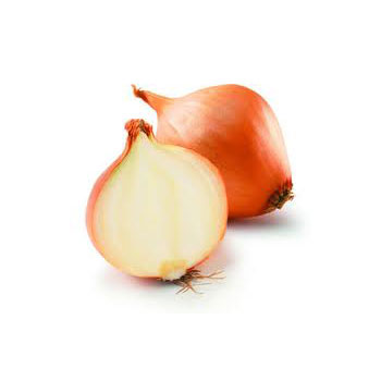 onion1