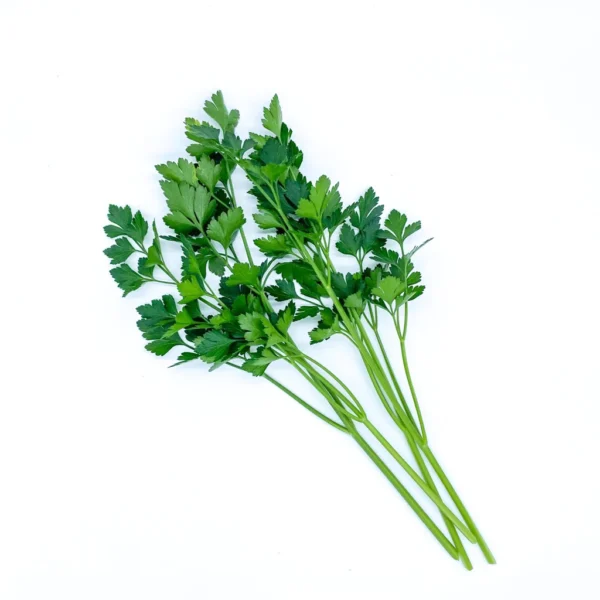 parsley-600x600