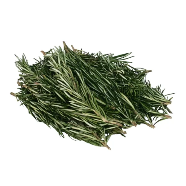 rosemary-600x600